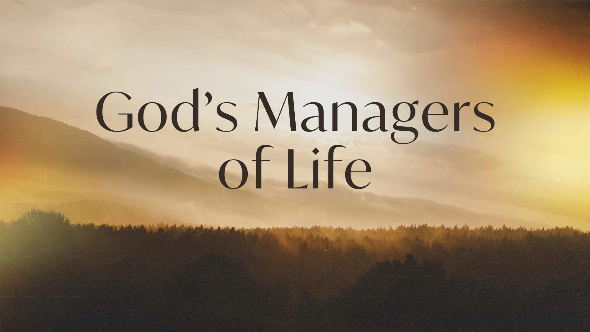 God's Managers of Life Archives - St. Matthew Lutheran Church